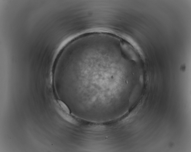 X0000093151372200709261436