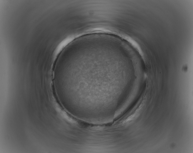 X0000093151373200709261436