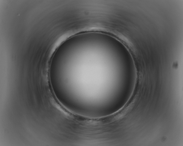X0000093151374200709261436