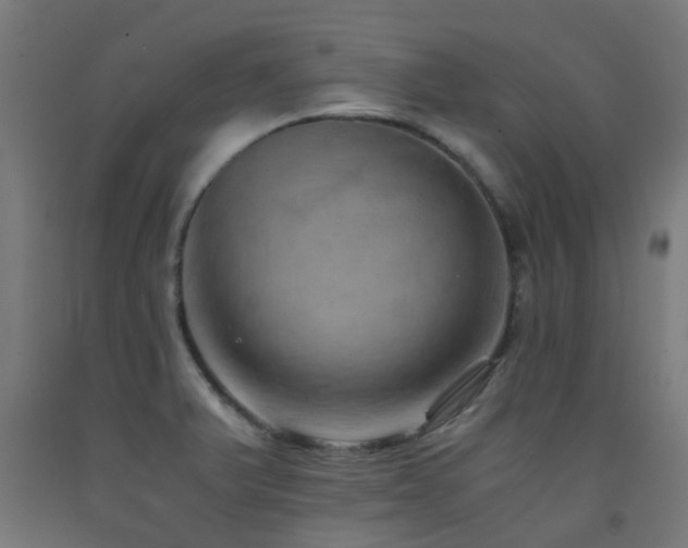 X0000093151375200709261436