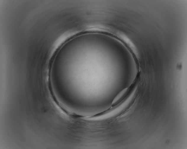 X0000093151376200709261436