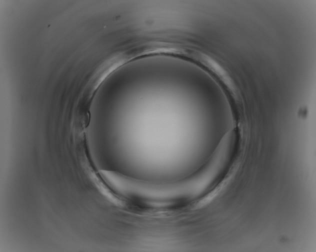 X0000093151377200709261436