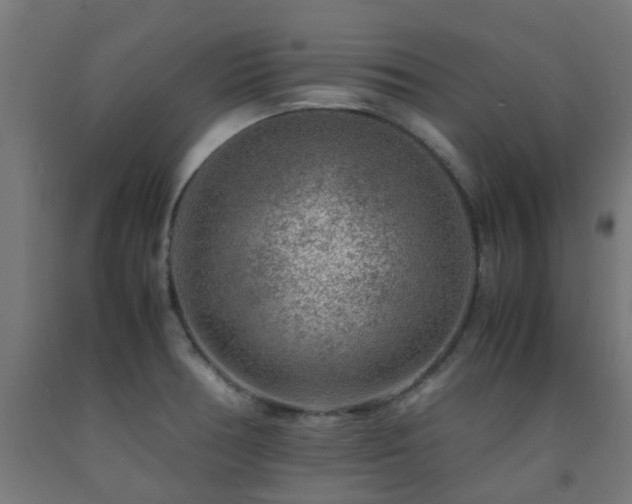 X0000093151378200709261436