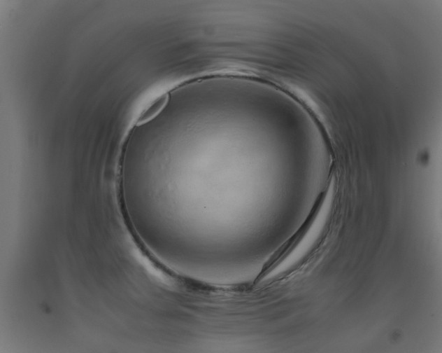 X0000093151379200709261436