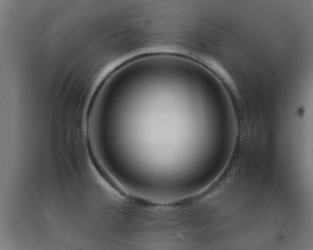 X0000093151380200709261436
