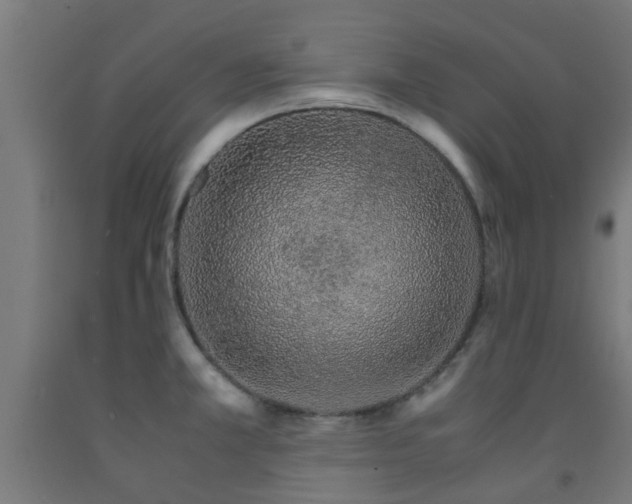 X0000093151381200709261436