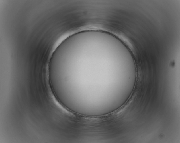 X0000093151382200709261436