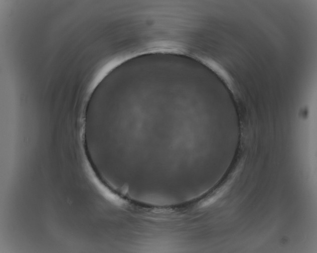 X0000093151383200709261436