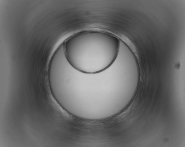 X0000093151384200709261436