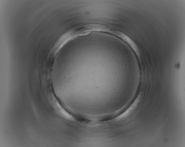 X0000093151385200709261436