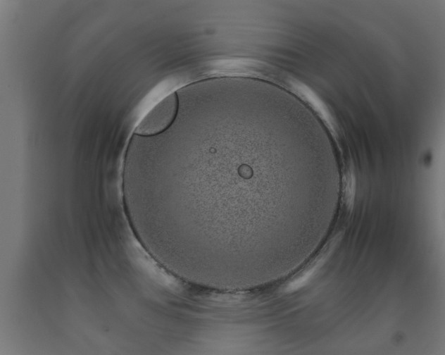 X0000093151386200709261436