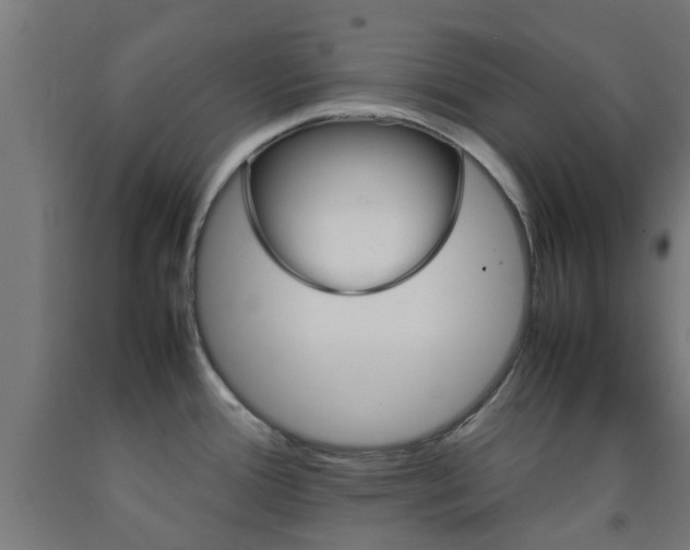 X0000093151388200709261436