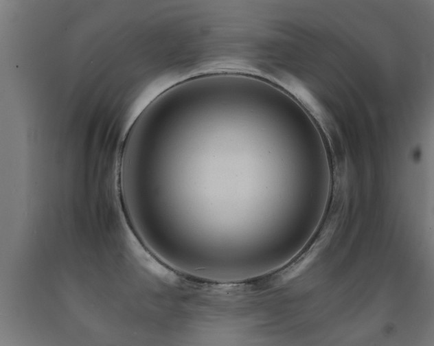 X0000093151390200709261436