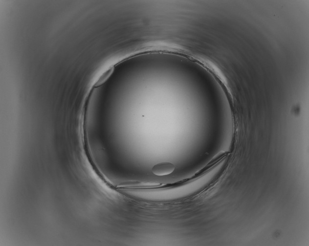 X0000093151391200709261436