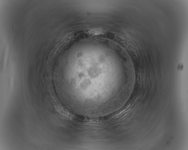 X0000093151393200709261435