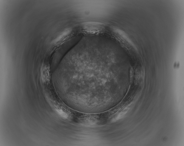X0000093151394200709261435