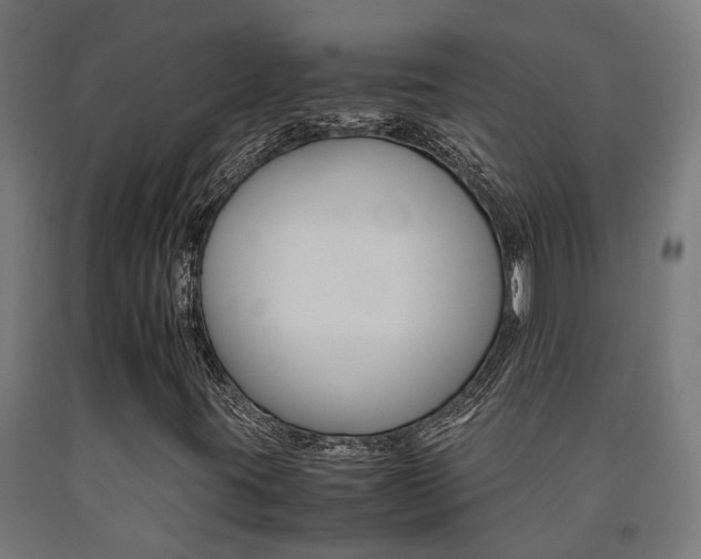 X0000093151395200709261435