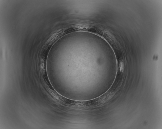 X0000093151396200709261435