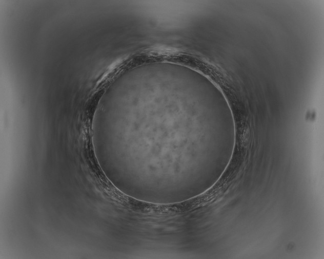 X0000093151397200709261435