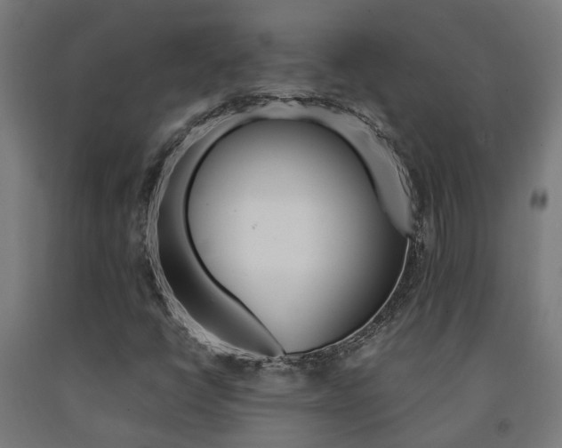 X0000093151398200709261435