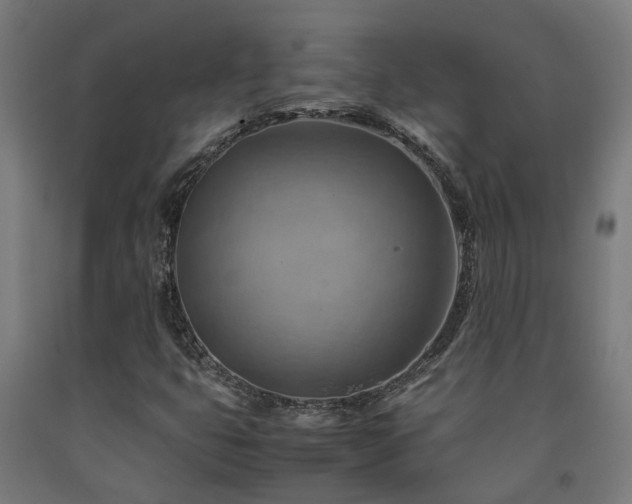 X0000093151399200709261435