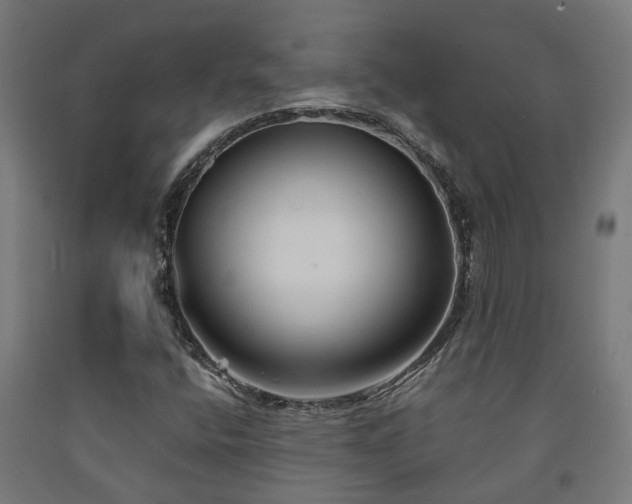 X0000093151400200709261435
