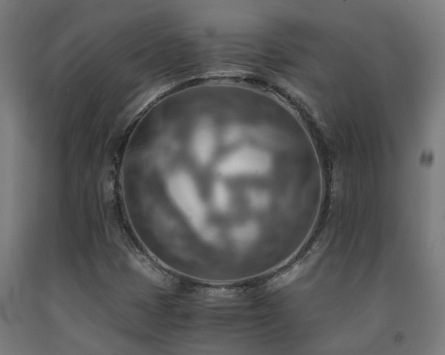 X0000093151401200709261435