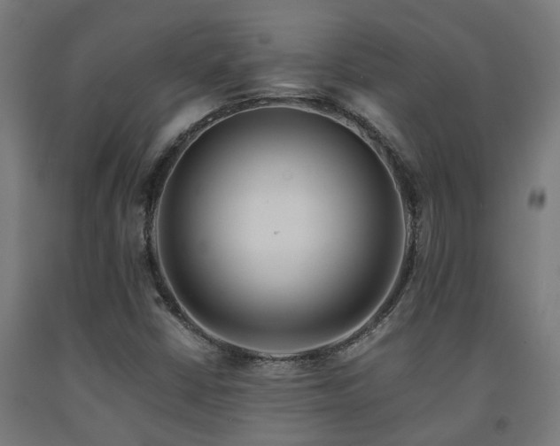 X0000093151402200709261435