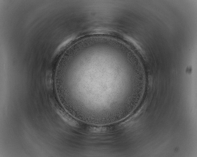 X0000093151403200709261435