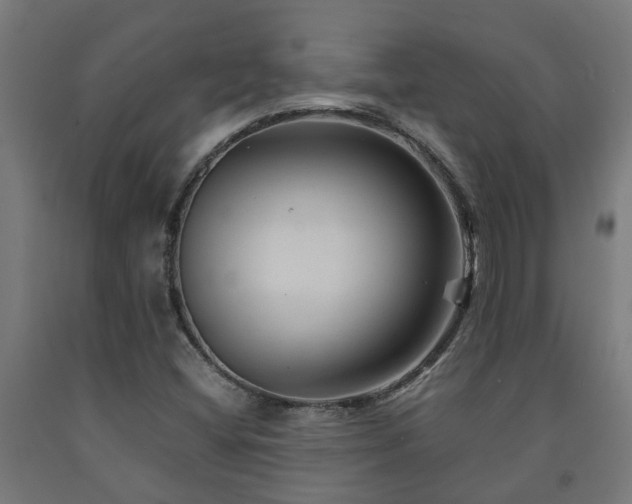 X0000093151404200709261435