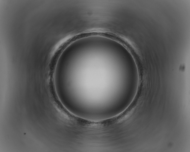 X0000093151406200709261435