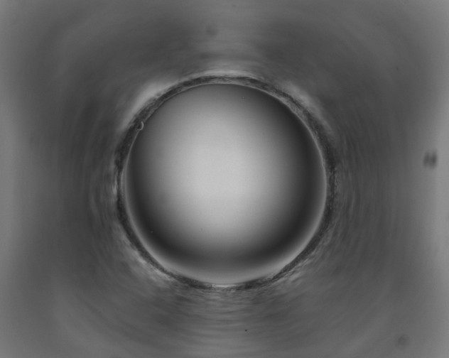 X0000093151408200709261435