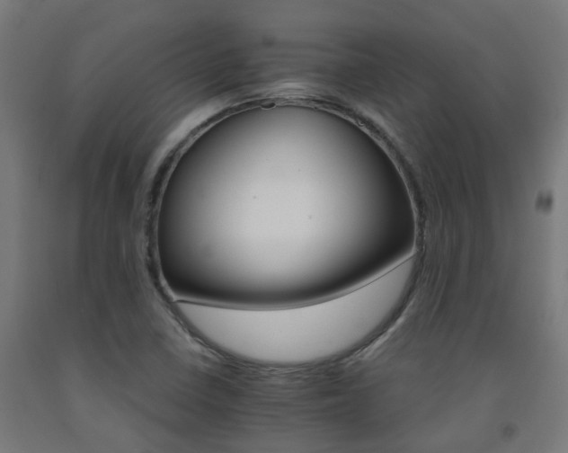 X0000093151410200709261435