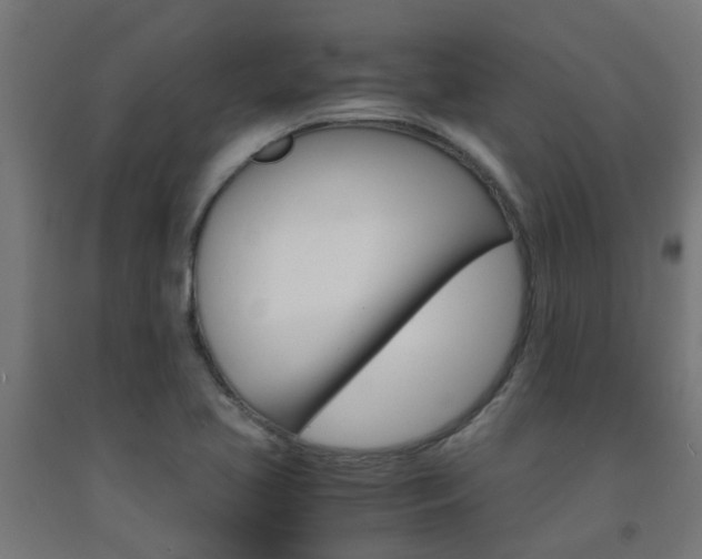 X0000093151413200709261435