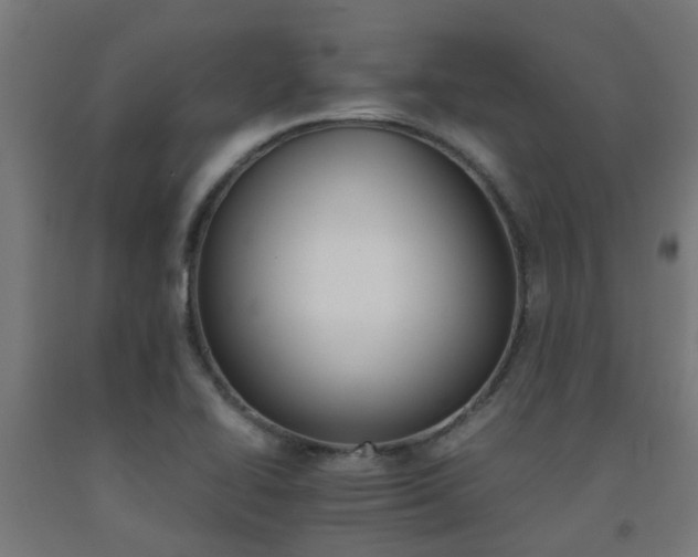 X0000093151414200709261435