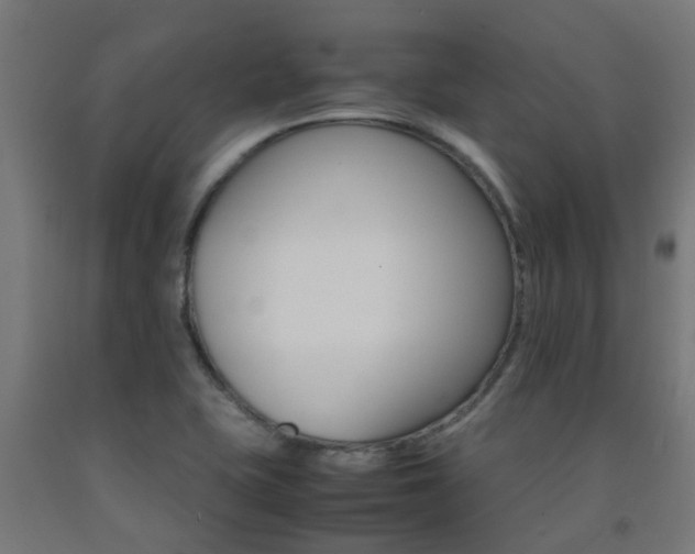 X0000093151415200709261435