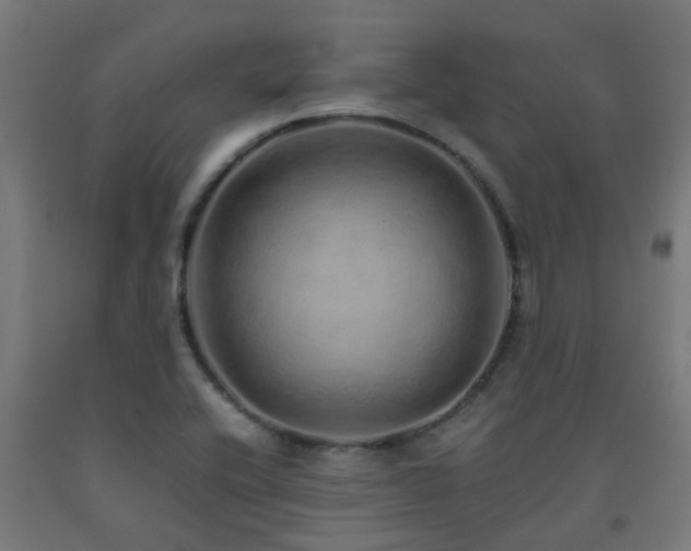 X0000093151416200709261435