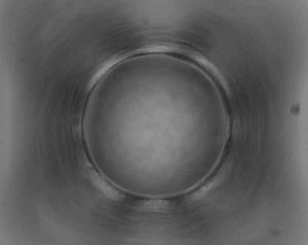 X0000093151417200709261435