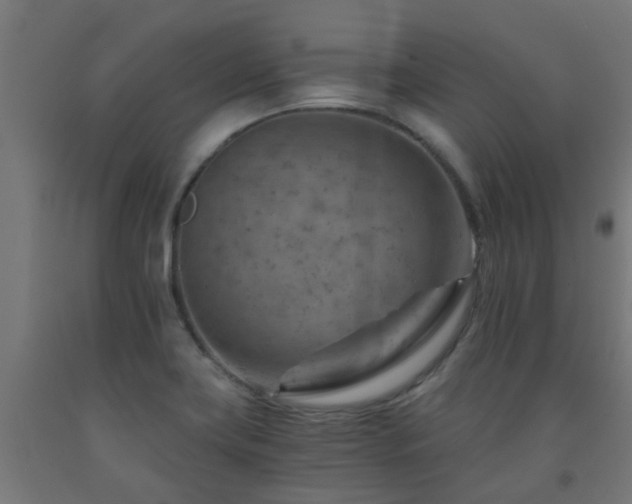 X0000093151419200709261435
