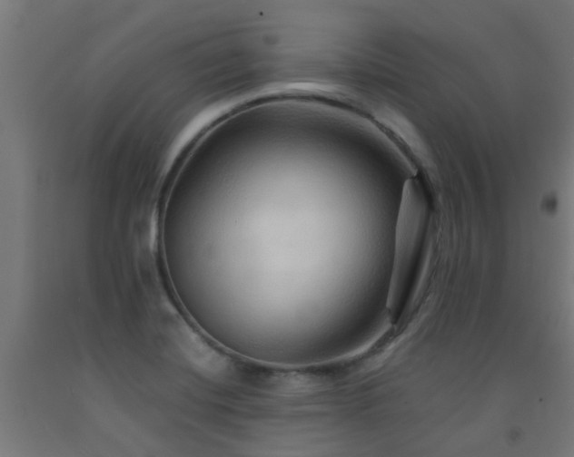 X0000093151420200709261435