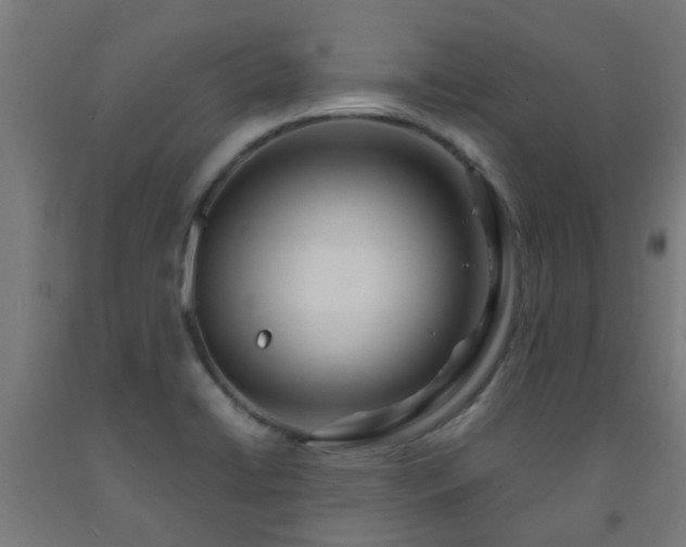 X0000093151422200709261436