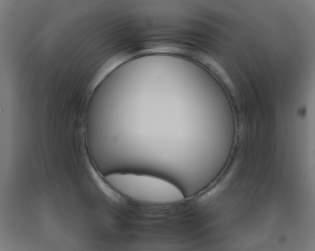 X0000093151425200709261436