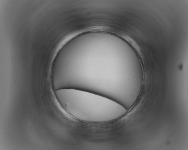 X0000093151429200709261436