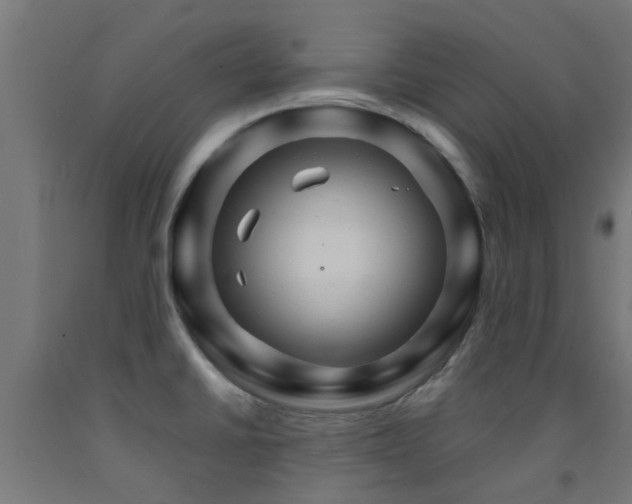 X0000093151430200709261436
