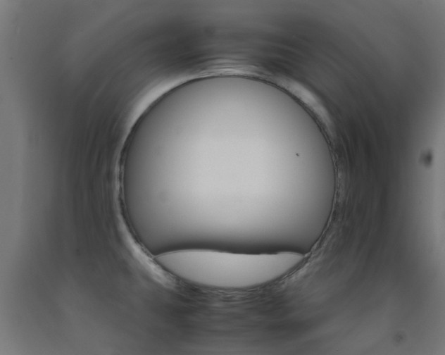 X0000093151431200709261436