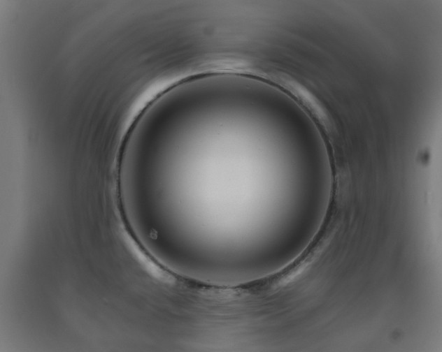 X0000093151432200709261436