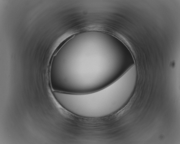 X0000093151434200709261436