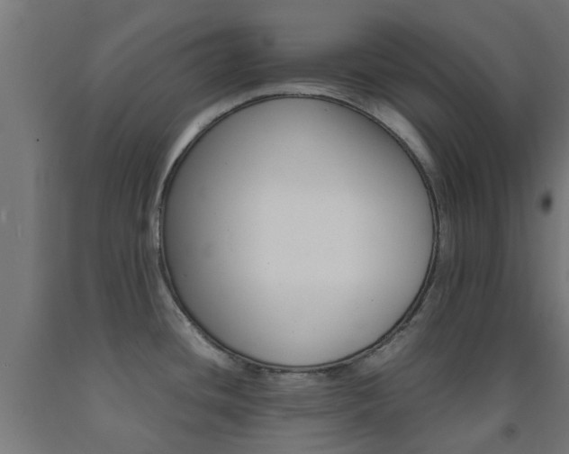 X0000093151436200709261436
