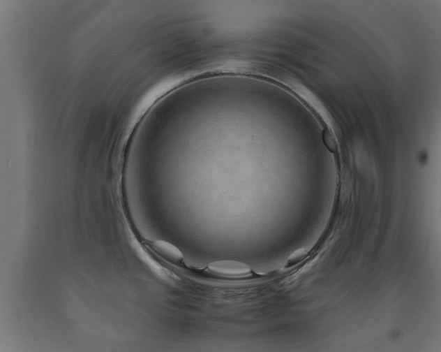 X0000093151437200709261436