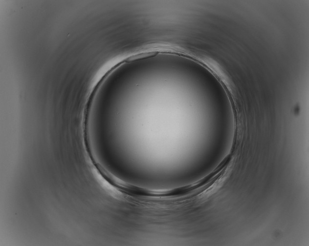 X0000093151438200709261436